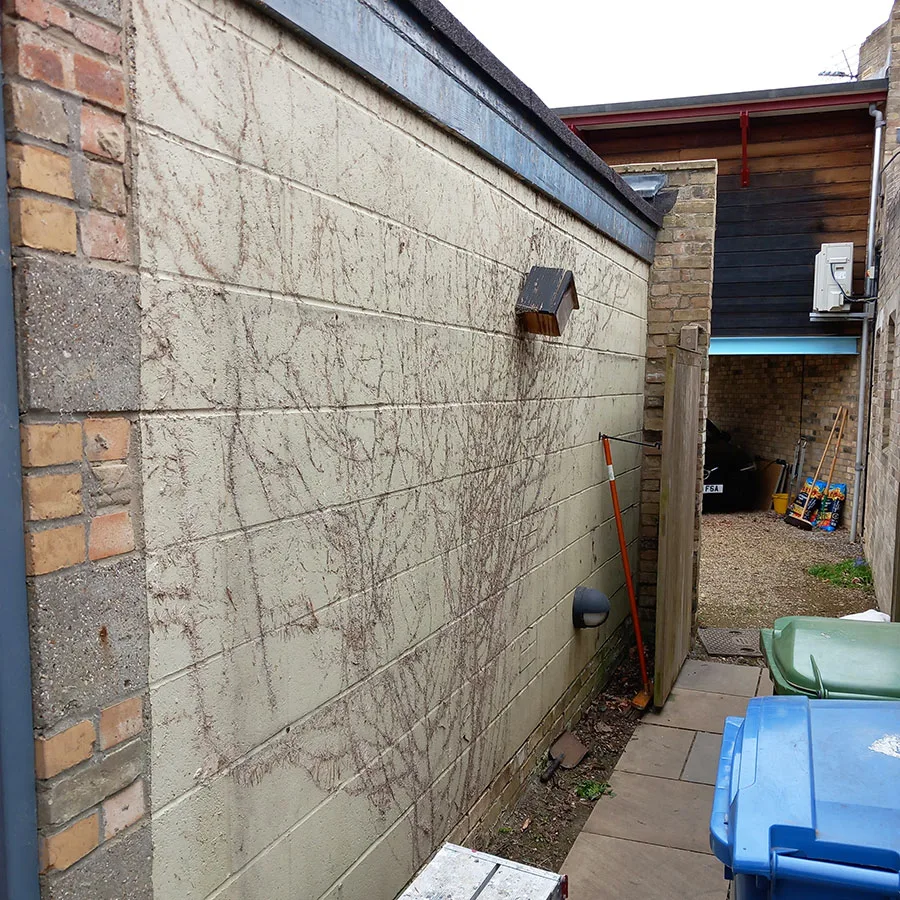 Domestic Exterior Painting & Decorating Domestic Exterior Painting & Decorating